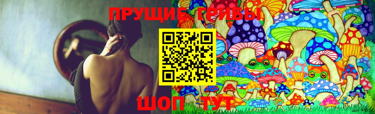 Псилоцибиновые грибы Cubensis Миллерово