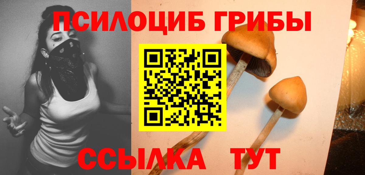 Миллерово  Галлюциногенные грибы Psilocybe  цены   Вход с VPN 